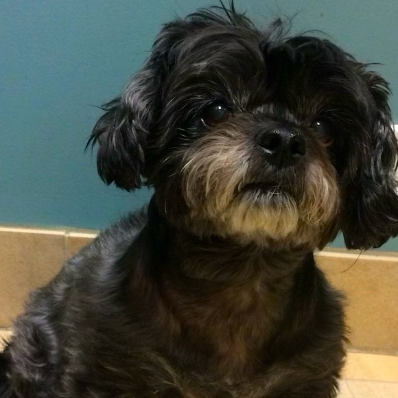 Meet your Posher, Heather - Picture 1 of 1